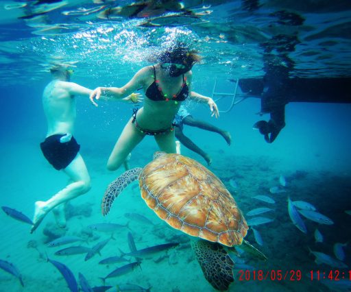 Barbados Snorkeling